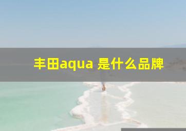 丰田aqua 是什么品牌